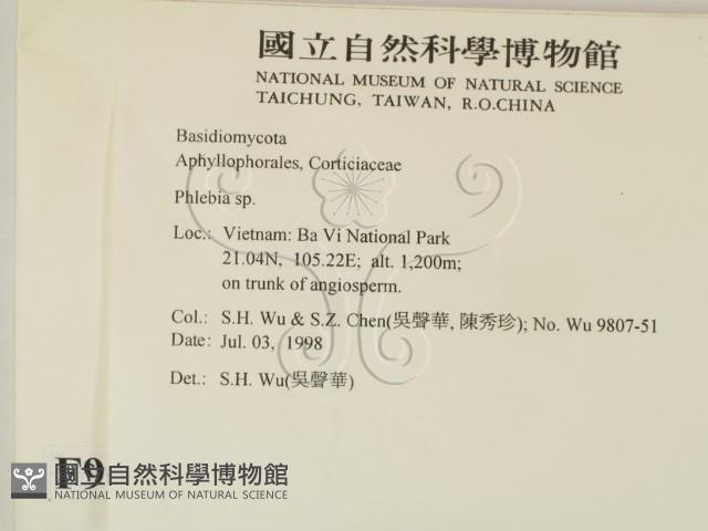 射脈菌屬藏品圖，第2張