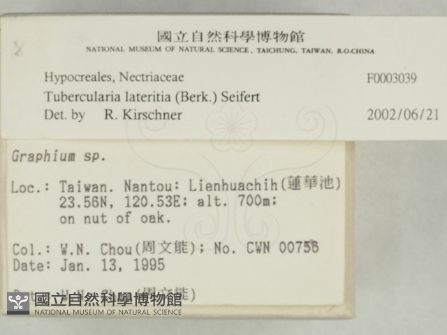 登錄號:F0003039藏品圖，第2張