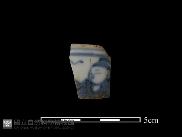 瓷片藏品圖，第1張