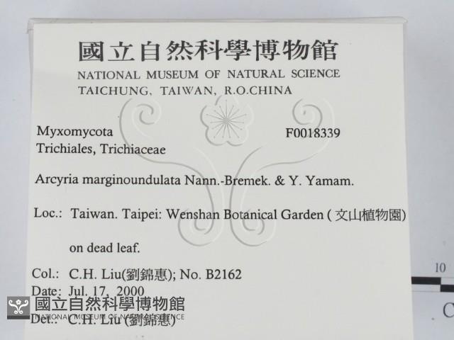 登錄號:F0018339藏品圖，第2張