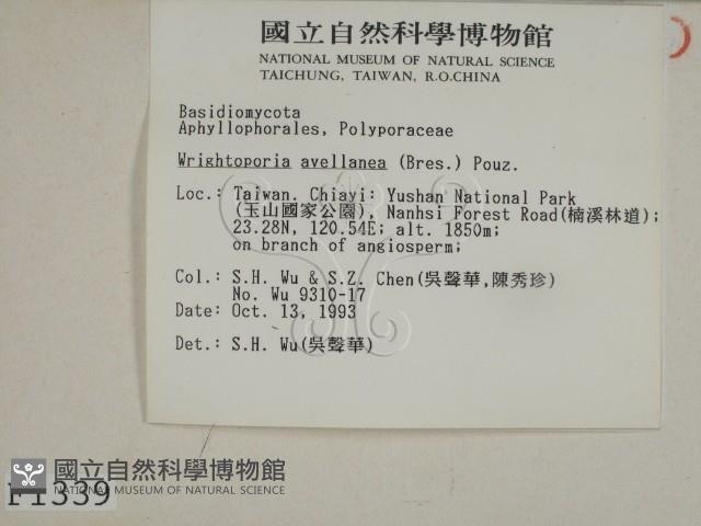 登錄號:F0001339藏品圖，第2張