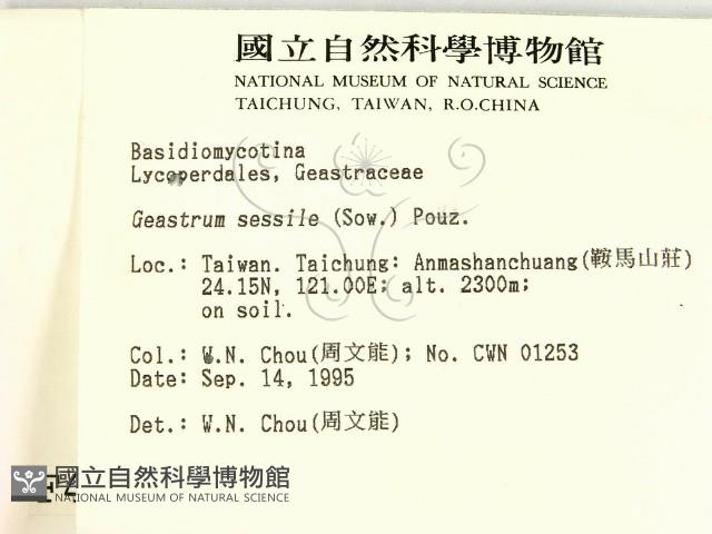 登錄號:F0004339藏品圖，第2張