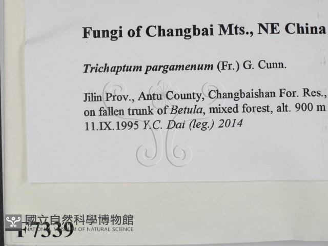 登錄號:F0007339藏品圖，第2張