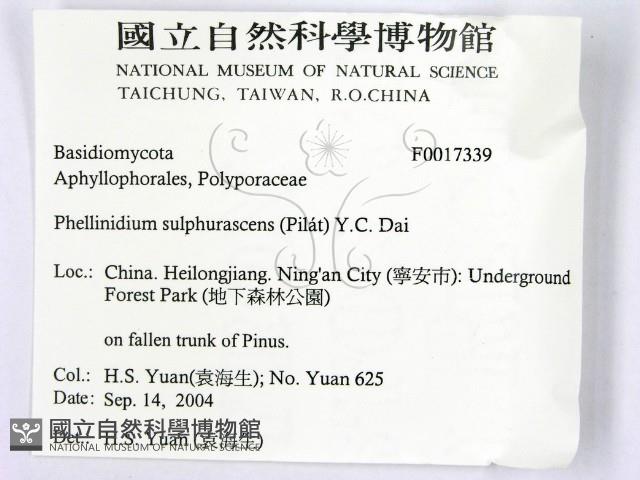 登錄號:F0017339藏品圖，第2張