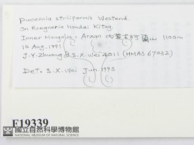 登錄號:F0019339藏品圖，第2張