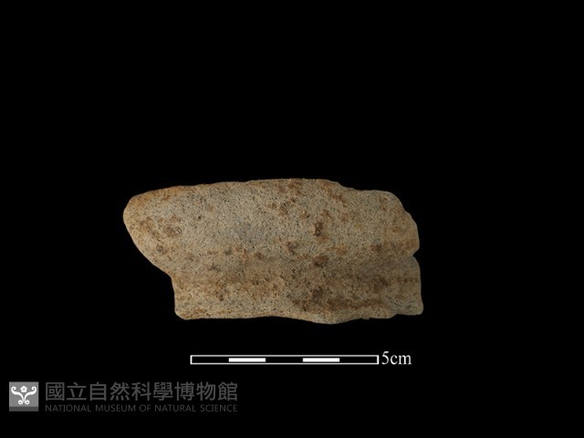 陶罐藏品圖，第1張