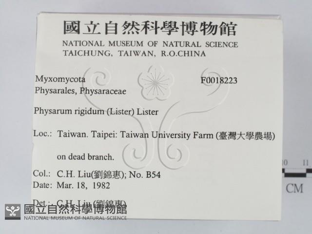 登錄號:F0018223藏品圖，第2張