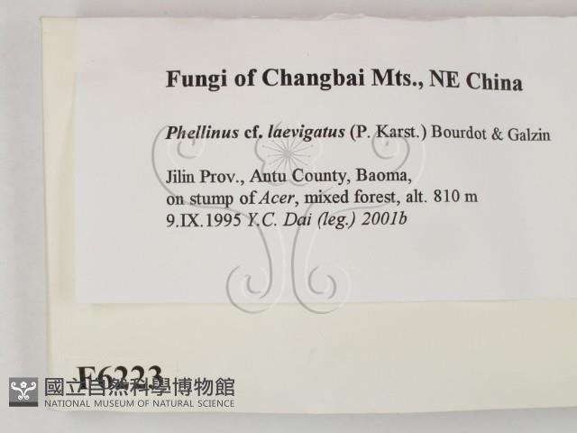 登錄號:F0006223藏品圖，第2張