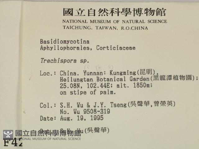 館號:F0004223藏品圖，第2張