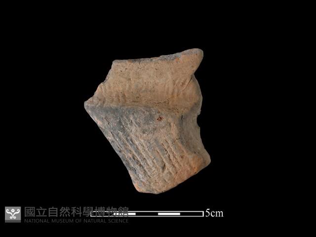 豆形器藏品圖，第2張