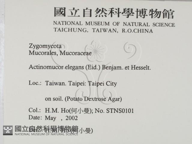 登錄號:F0015223藏品圖，第2張