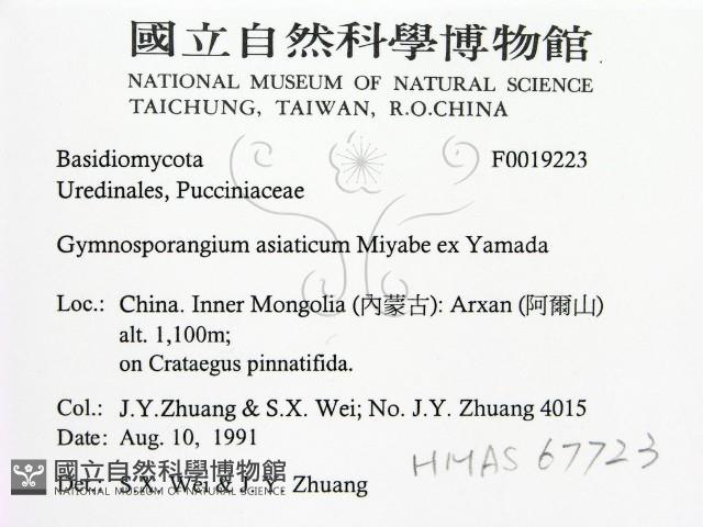 登錄號:F0019223藏品圖，第2張