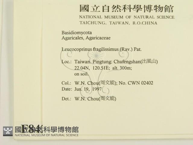 登錄號:F0008423藏品圖，第2張