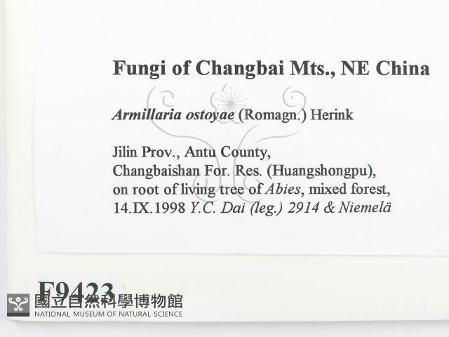 登錄號:F0009423藏品圖，第2張