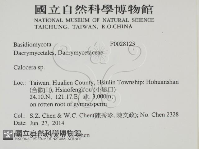 登錄號:F0028123藏品圖，第2張