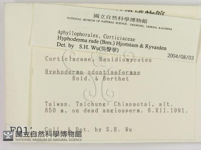 登錄號:F0000123藏品圖，第2張