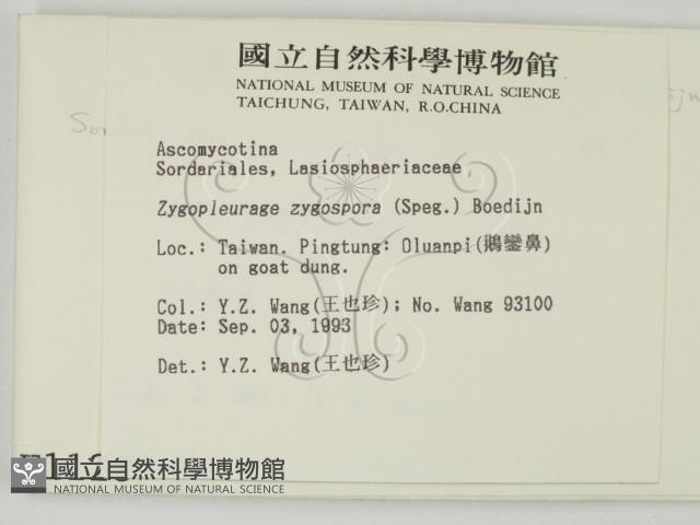 登錄號:F0001123藏品圖，第2張