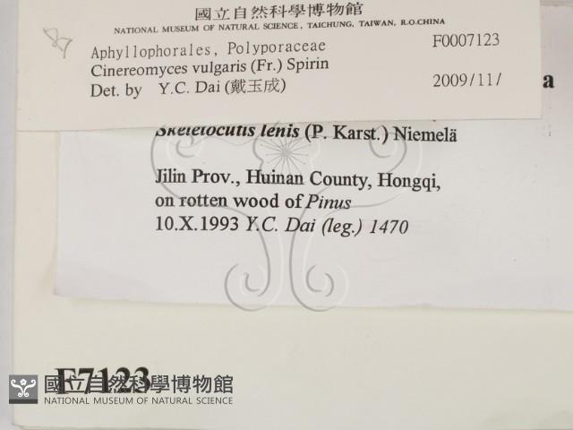 登錄號:F0007123藏品圖，第2張