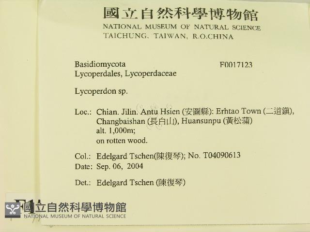 登錄號:F0017123藏品圖，第2張
