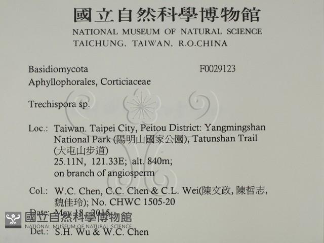 登錄號:F0029123藏品圖，第2張