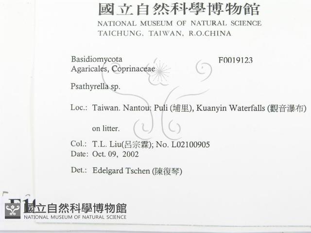 登錄號:F0019123藏品圖，第2張