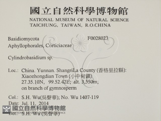 登錄號:F0028023藏品圖，第2張