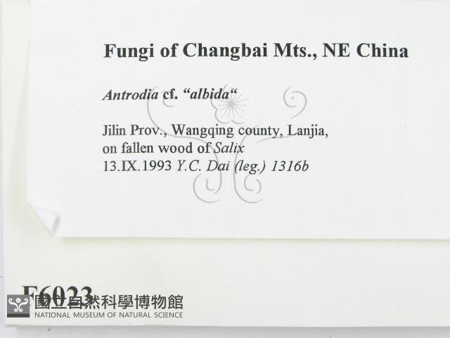 登錄號:F0006023藏品圖，第2張