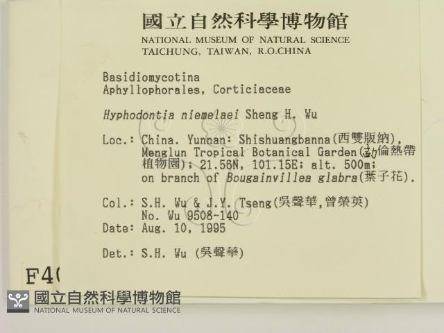 登錄號:F0004023藏品圖，第2張