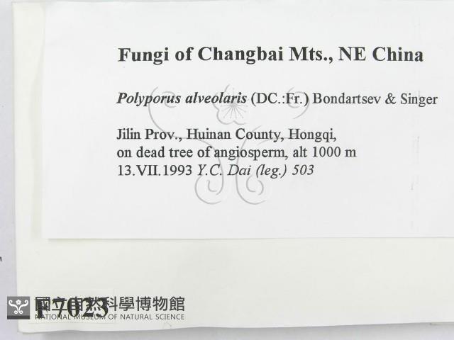 登錄號:F0007023藏品圖，第2張