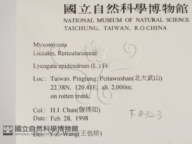 登錄號:F0008323藏品圖，第2張