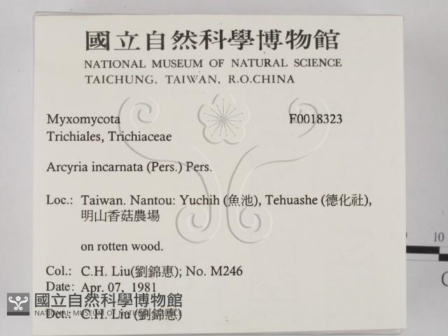 登錄號:F0018323藏品圖，第2張