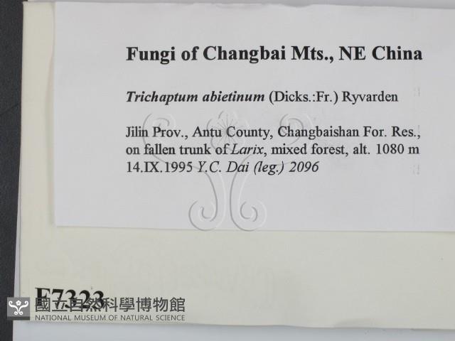 登錄號:F0007323藏品圖，第2張