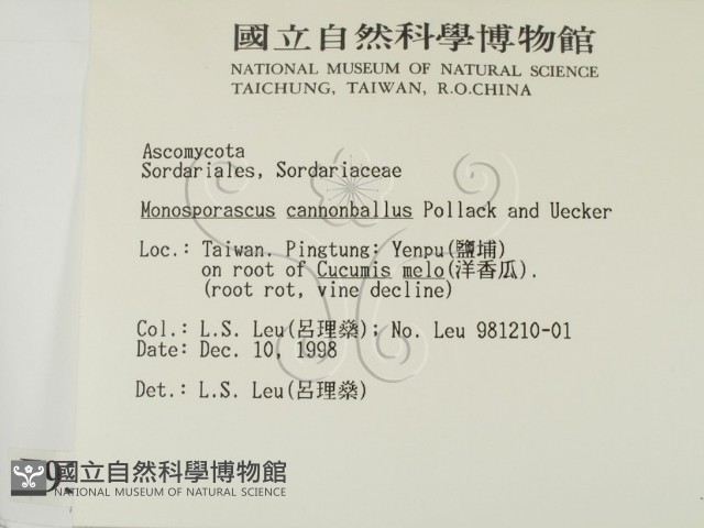 登錄號:F0009323藏品圖，第2張