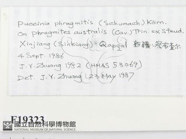 登錄號:F0019323藏品圖，第2張