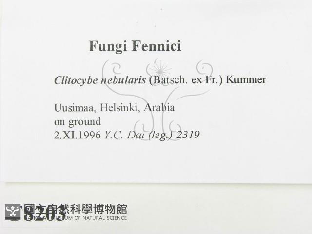 登錄號:F0008203藏品圖，第2張