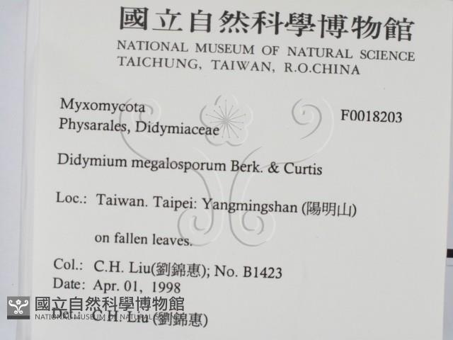 登錄號:F0018203藏品圖，第2張