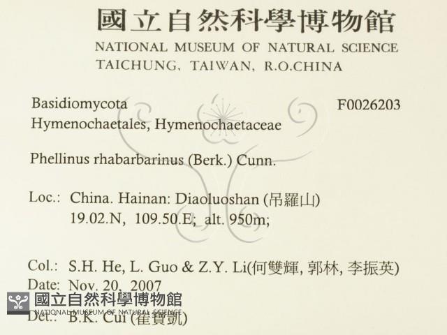 登錄號:F0026203藏品圖，第2張