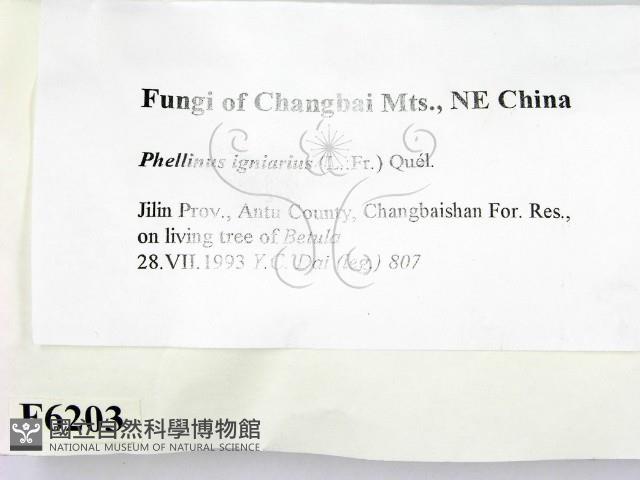登錄號:F0006203藏品圖，第2張