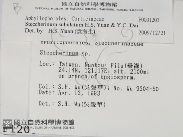 登錄號:F0001203藏品圖，第2張