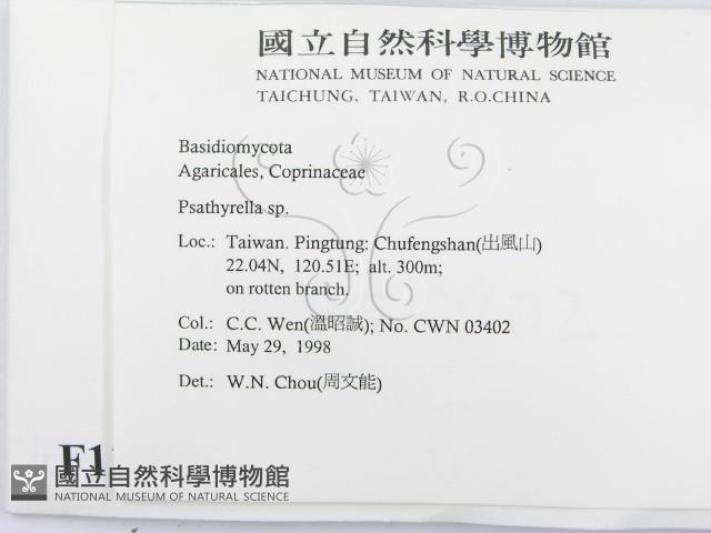 登錄號:F0011203藏品圖，第2張