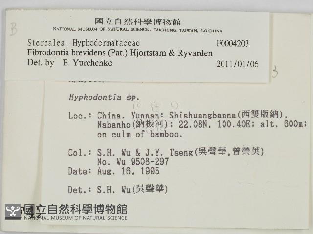 登錄號:F0004203藏品圖，第2張