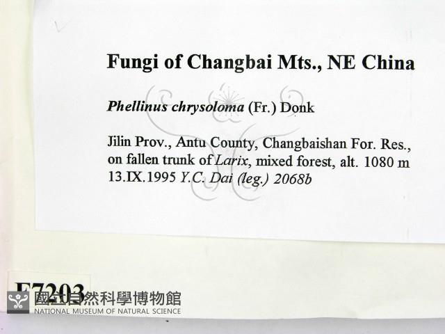 登錄號:F0007203藏品圖，第2張