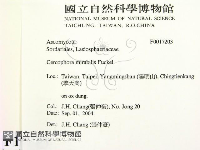 登錄號:F0017203藏品圖，第2張