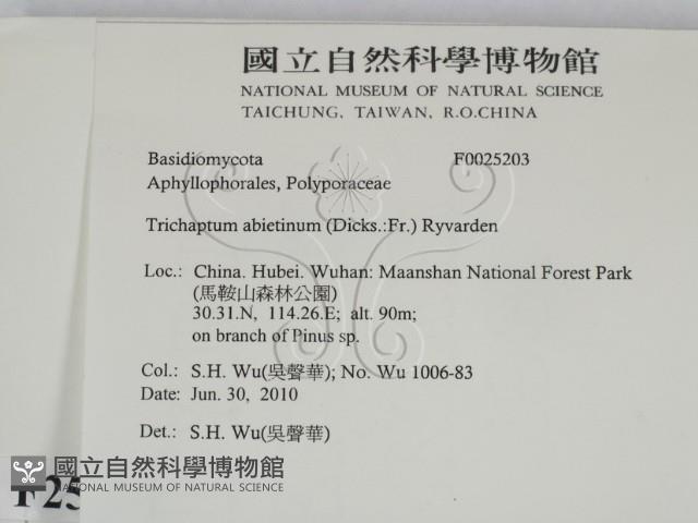 登錄號:F0025203藏品圖，第2張