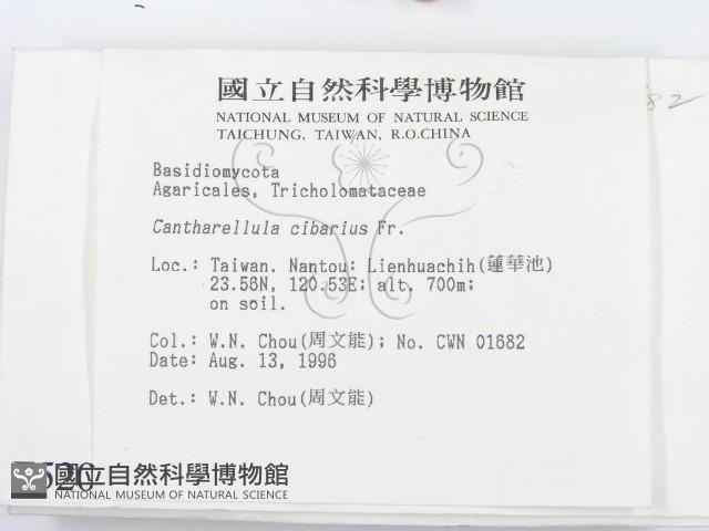 登錄號:F0005203藏品圖，第2張