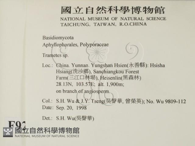 栓菌屬藏品圖，第2張