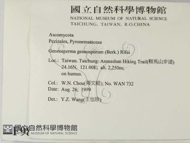 登錄號:F0009803藏品圖，第2張