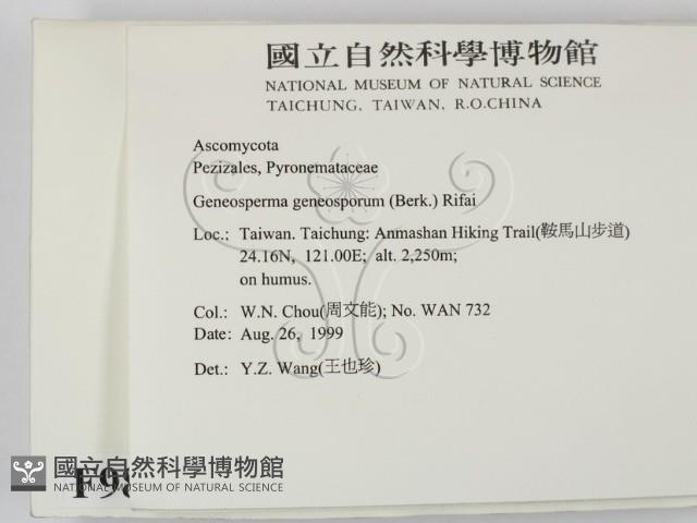 登錄號:F0008903藏品圖，第2張