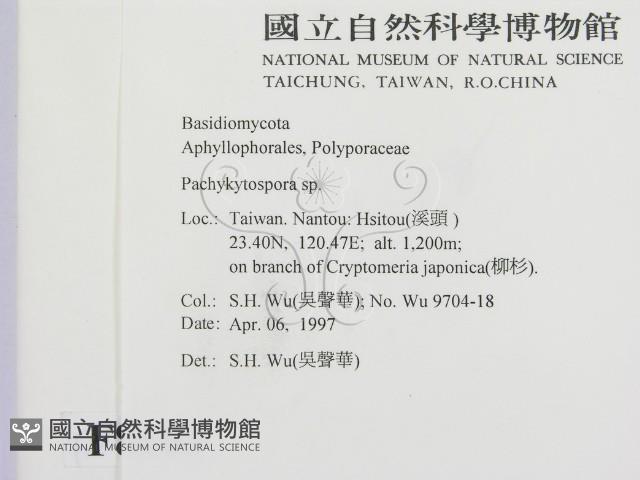 登錄號:F0008603藏品圖，第2張