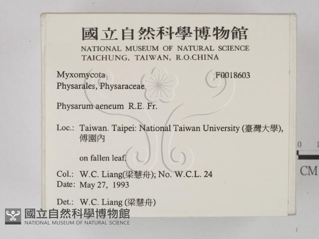 登錄號:F0018603藏品圖，第2張